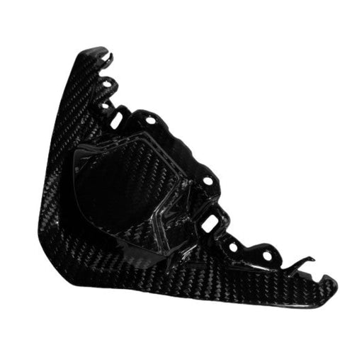 Triumphe Street Triple 765 Frontverkleidung Front Fairing Cache Avant