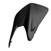 Ducati Panigale V4 100% Carbon Schwingenschoner Satin Swingarm Cover Protection Bras Oscillant